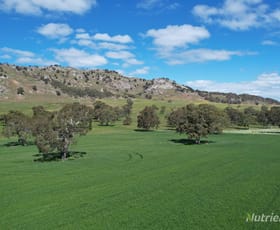 Rural / Farming commercial property for sale at Lot 2 Beaufort-Waubra Road Ercildoune VIC 3352