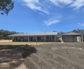 Rural / Farming commercial property for sale at 1859 & 1869 Tobacco Road Coolmunda QLD 4387
