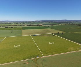Rural / Farming commercial property for sale at Level 1&2/ Tilga Street Canowindra NSW 2804
