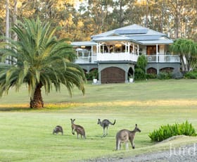 Rural / Farming commercial property for sale at 64 Tuckers Lane North Rothbury NSW 2335