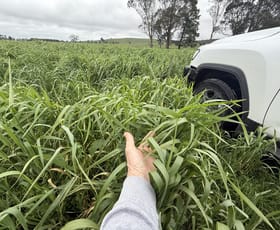 Rural / Farming commercial property for sale at CA E SEC4, CA F SEC4 Eastern Peake Road Mount Bolton VIC 3352