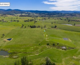 Rural / Farming commercial property for sale at 169 Cochranes Road Wolumla NSW 2550
