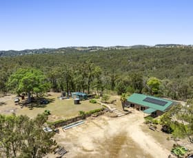Rural / Farming commercial property for sale at 784 Pierces Creek Road Pierces Creek QLD 4355