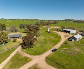 Rural / Farming commercial property for sale at 2018 Henty Cookardinia road Cookardinia NSW 2650