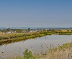 Rural / Farming commercial property for sale at 42 Wendts Road Mount Tarampa QLD 4311