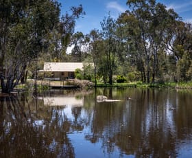 Rural / Farming commercial property for sale at 84 Broken Shaft Close Orange NSW 2800