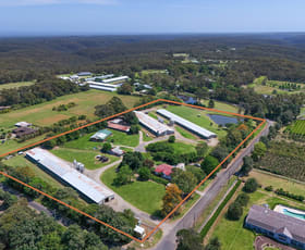 Rural / Farming commercial property for sale at 1-3 Peebles Road Arcadia NSW 2159