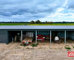 Rural / Farming commercial property for sale at Lot 2 Old Barmah Road Moama NSW 2731