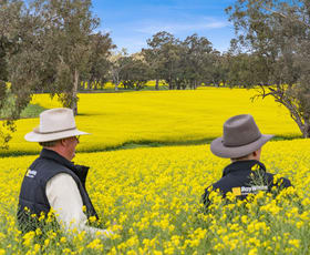 Rural / Farming commercial property for sale at 2056 Benalla-Yarrawona Road Bungeet West VIC 3726