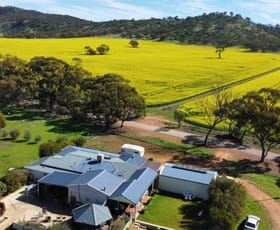 Rural / Farming commercial property for sale at 151 North Road York WA 6302