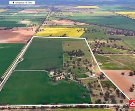 Rural / Farming commercial property for sale at 937 Ham Road Moama NSW 2731