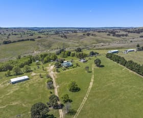 Rural / Farming commercial property for sale at 1911 Rugby Road Bevendale NSW 2581