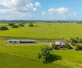 Rural / Farming commercial property for sale at 54 Back Creek Road Kinchela NSW 2440