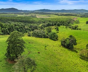 Rural / Farming commercial property for sale at Lot 2/323 Hernon Road Fitzgerald Creek QLD 4860