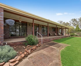 Rural / Farming commercial property for sale at 340 Carbone Road Leeton NSW 2705 Rural / Farming commercial property for sale at 340 Carbone Road Leeton NSW 2705