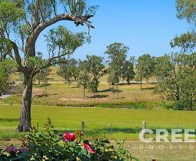 Rural / Farming commercial property for sale at 243 Glendon Lane Glendon NSW 2330 Rural / Farming commercial property for sale at 243 Glendon Lane Glendon NSW 2330