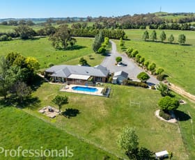 Rural / Farming commercial property for sale at 225 Emu Swamp Road Orange NSW 2800