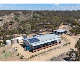 Rural / Farming commercial property for sale at 2290 Black Hill Road Black Hill SA 5353