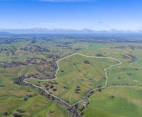 Rural / Farming commercial property for sale at 362 Watchbox Road Barfold VIC 3444