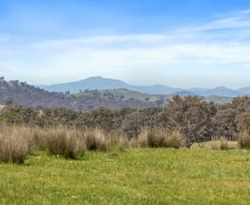 Rural / Farming commercial property for sale at 46 Lemins Road Merton VIC 3715