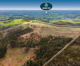 Rural / Farming commercial property for sale at 1606 Mount Canobolas Road, Orange NSW Orange NSW 2800