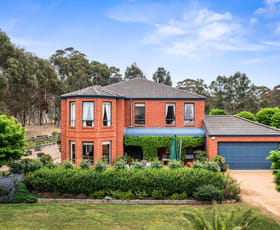 Rural / Farming commercial property for sale at 97 Reyn Road Myrtle Creek VIC 3551