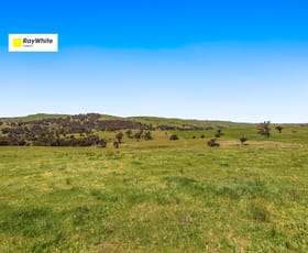 Rural / Farming commercial property for sale at 1260 Wondalga Road Adelong NSW 2729