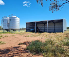 Rural / Farming commercial property sold at 1076 Watermark Road Curlewis NSW 2381
