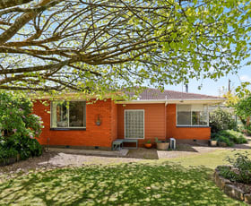 Rural / Farming commercial property for sale at 352 Melville Forest-Vasey Road Vasey VIC 3407 Rural / Farming commercial property for sale at 352 Melville Forest-Vasey Road Vasey VIC 3407