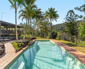 Rural / Farming commercial property for sale at 300 Quilty Road Rock Valley NSW 2480