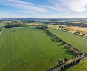 Rural / Farming commercial property for sale at 'Matilda' 147 Noonbinna East Road Cowra NSW 2794