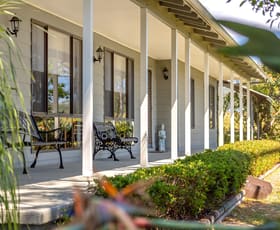 Rural / Farming commercial property for sale at 389 Careys Road Hillville NSW 2430