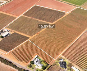 Rural / Farming commercial property for sale at 391 Rossetto Road Bilbul NSW 2680 Rural / Farming commercial property for sale at 391 Rossetto Road Bilbul NSW 2680