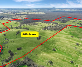 Rural / Farming commercial property for sale at 503 Mia Mia-Derrinal Road Heathcote VIC 3523