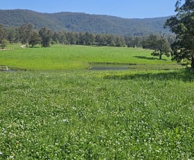 Rural / Farming commercial property for sale at 179 Gresford Road Paterson NSW 2421