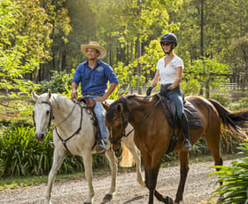 Rural / Farming commercial property for sale at 179 Gresford Road Paterson NSW 2421 Rural / Farming commercial property for sale at 179 Gresford Road Paterson NSW 2421