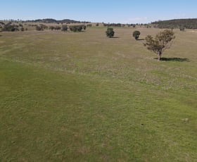 Rural / Farming commercial property for sale at "Babynda" 829 Eulimore Road Eugowra NSW 2806