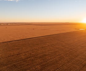 Rural / Farming commercial property for sale at Almora 136 Murraiman Road Teridgerie NSW 2829 Rural / Farming commercial property for sale at Almora 136 Murraiman Road Teridgerie NSW 2829