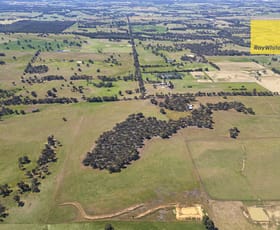 Rural / Farming commercial property for sale at 7 Maltrup Road Dinninup WA 6244