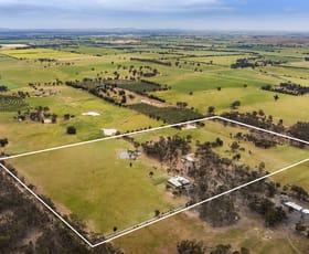 Rural / Farming commercial property for sale at 234 Nixons Road Shelbourne VIC 3515