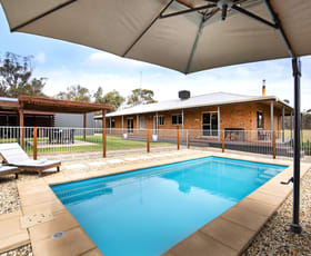 Rural / Farming commercial property for sale at 234 Nixons Road Shelbourne VIC 3515