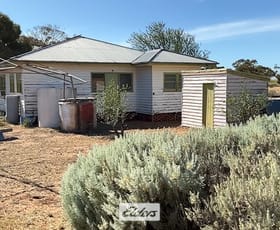 Rural / Farming commercial property for sale at 109 Underbool - Patchewollock Road Underbool VIC 3509