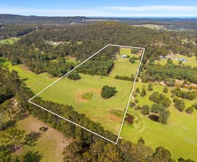 Rural / Farming commercial property for sale at 488 Dicksons Road Jilliby NSW 2259