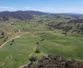 Rural / Farming commercial property for sale at 1208 Sawyers Gully Yass NSW 2582