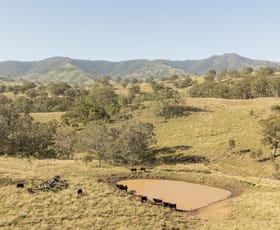 Rural / Farming commercial property for sale at 'East Toombimba' Kars Springs via Scone NSW 2337
