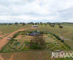 Rural / Farming commercial property for sale at 417 Twelve Mile Road Yarragundry NSW 2650