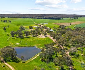 Rural / Farming commercial property for sale at 105 Peakview Road, Road Young NSW 2594