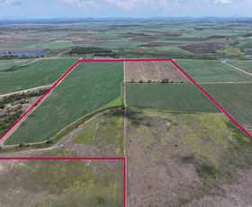 Rural / Farming commercial property for sale at 505 Trent Road Alva QLD 4807