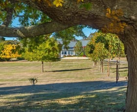 Rural / Farming commercial property for sale at 265 Pudding Bag Road Drummond VIC 3461