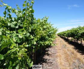 Rural / Farming commercial property for sale at 1489 McDonough Road Yenda NSW 2681